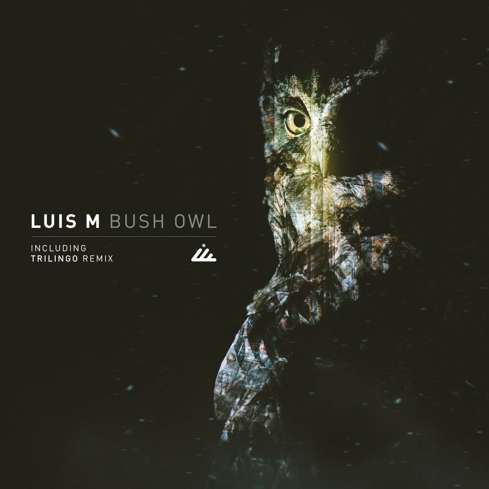 Luis M - Bush Owl [IBOGATECH101]